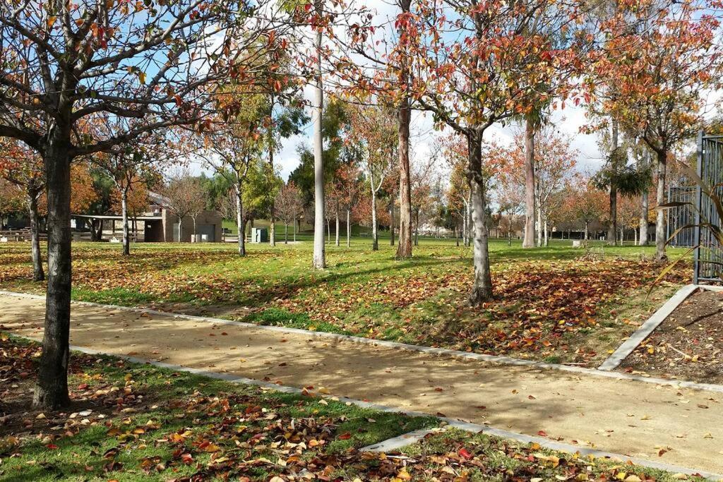 1 Bedroom Mini In Otay Ranch Apartment *